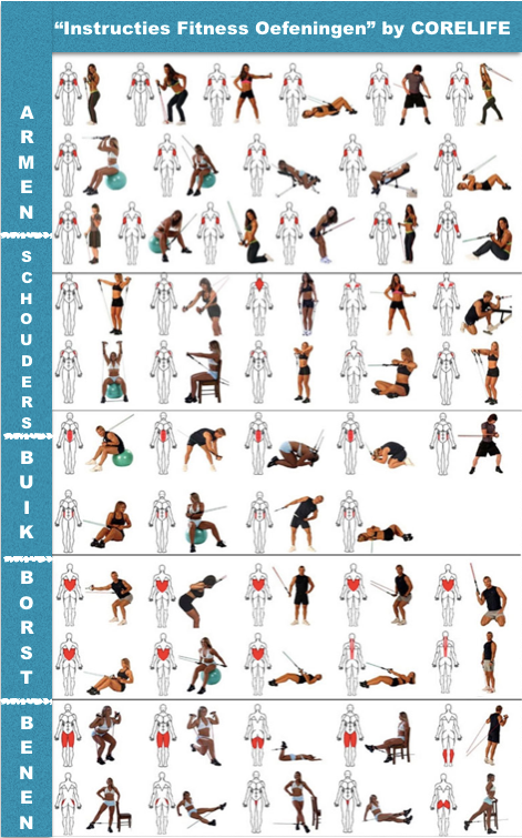 XXL Moderne Fitness Set  | Compleet 11-Delige Set
